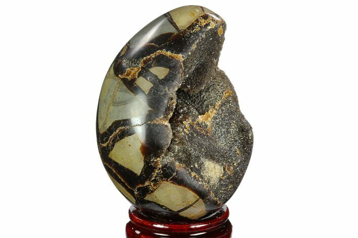 Septarian Dragon Egg Geode - Black Crystals #123028